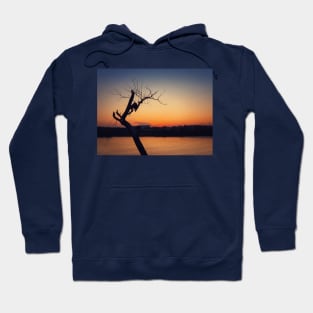 dry tree over sunset Hoodie